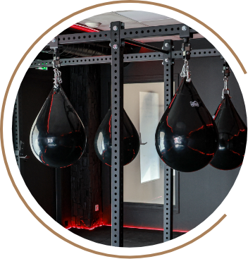 50% training vignette-50
